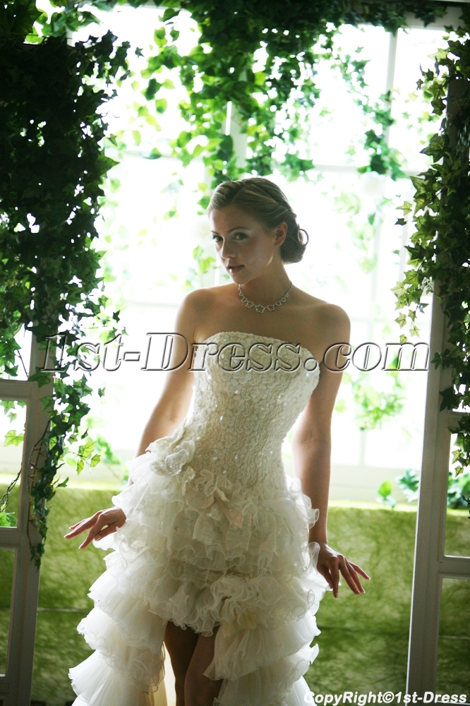 images/201307/big/Luxury-High-low-Short-Summer-Wedding-Dresses-2375-b-1-1374488055.jpg