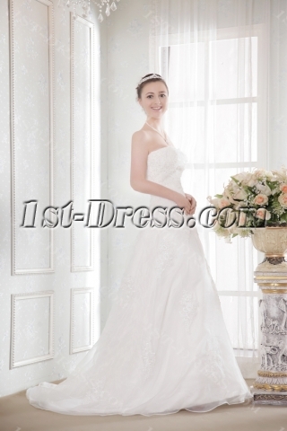 Ivory Organza A-line Cheap Plus Size Bridal Gowns
