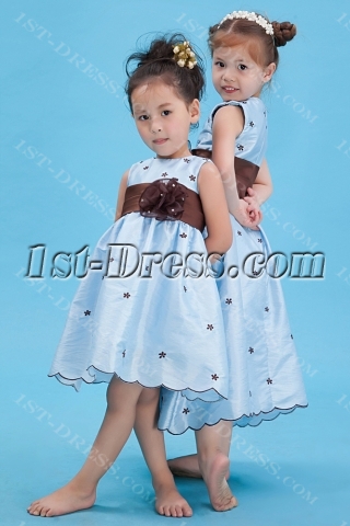 Lovely Blue Baby Doll Flower Girl Dress with Brown Waistband