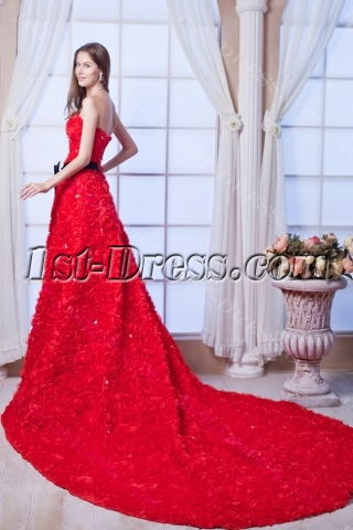 Luxury Red Rose Bridal Gowns 2013 with Black