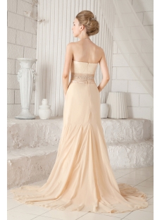 Champagne Chiffon Plus Size Prom Gown 2013