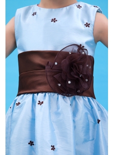 Lovely Blue Baby Doll Flower Girl Dress with Brown Waistband