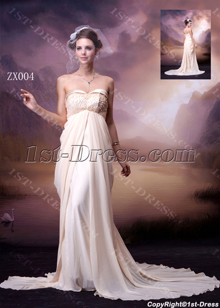 images/201308/big/Champagne-Column-Chiffon-2013-Prom-Dress-2656-b-1-1375968960.jpg