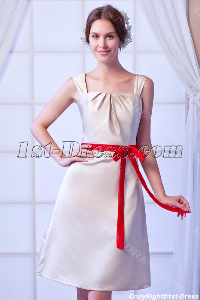 images/201308/big/Champagne-Short-Inexpensive-Bridesmaid-Dress-with-Red-Sash-2711-b-1-1376472626.jpg