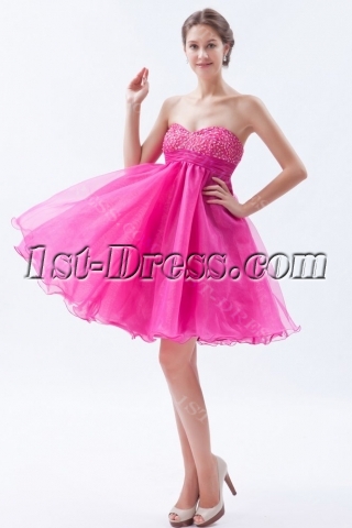 Pink Sweetheart Tutu Baby Doll Cocktail Dress
