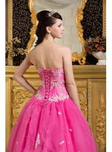 Long Fuchsia Princess Quince Gown with Corset