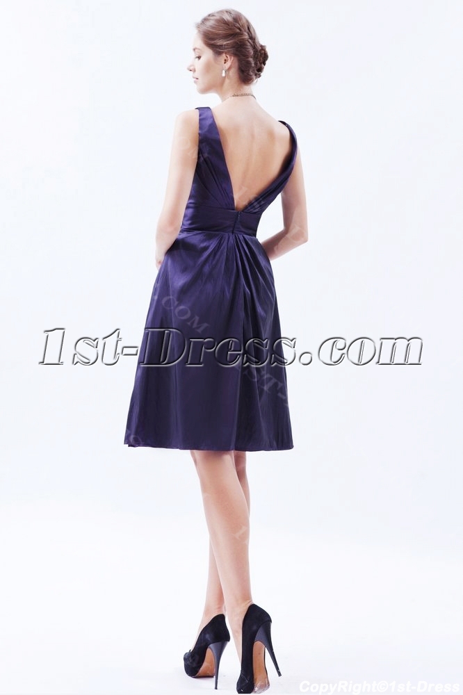 images/201309/big/Taffeta-Purple-Short-Homecoming-Dress-with-V-Back-2943-b-1-1378983488.jpg