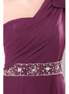 Grape Sheath Long One Shoulder 2014 Prom Dresses
