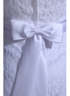 Simple Lace Tea Length Bridal Gown for Beach