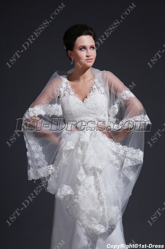 images/201311/big/Chic-Elegant-Mature-Lace-Bridal-Gowns-with-V-neckline-3609-b-1-1385044853.jpg