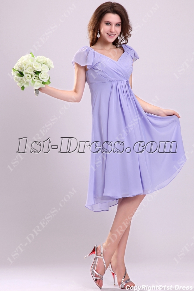 images/201311/big/Pretty-Lavender-Butterfly-Sleeves-Short-Plus-Size-Homecoming-Dresses-3424-b-1-1383837516.jpg