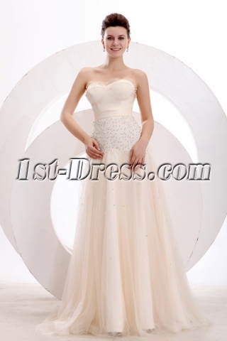 Champagne Classy A-line Long Prom Dress 2014