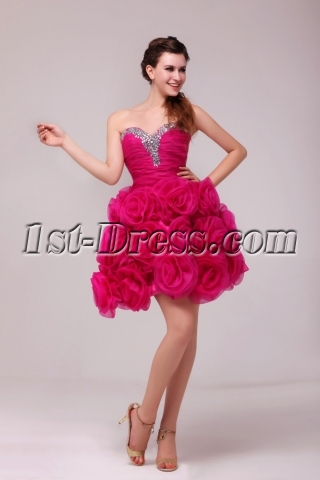 Romantic Hot Pink Short Masquerade Party Dress