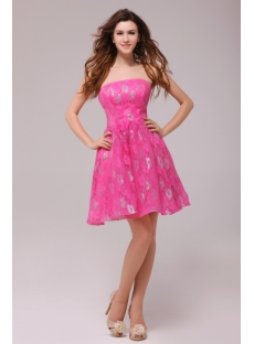 Hot Pink Short Lace Homecoming Party Dresses Cheap