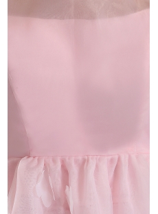 Modest Cap Sleeves Pink Organza Long Evening Dress
