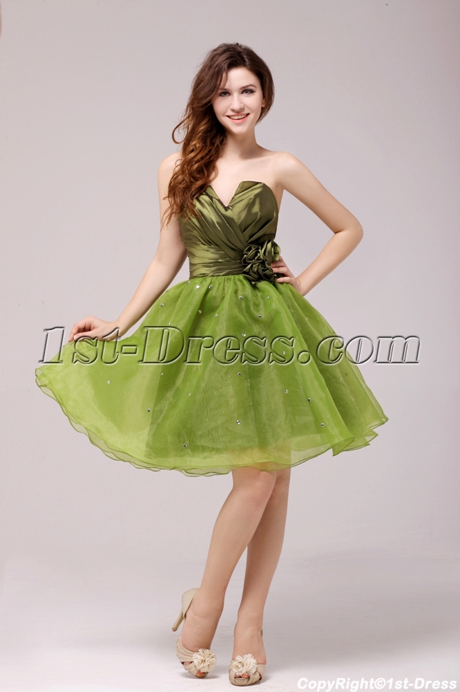 images/201312/big/Cute-Flare-Olive-Short-Cocktail-Dress-for-Girls-3794-b-1-1387295568.jpg