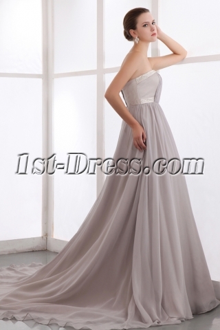 Silver Gray Long Plus Size Evening Dress with Train