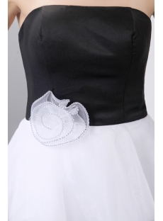 Stunning Black and White Short Formal Dresses