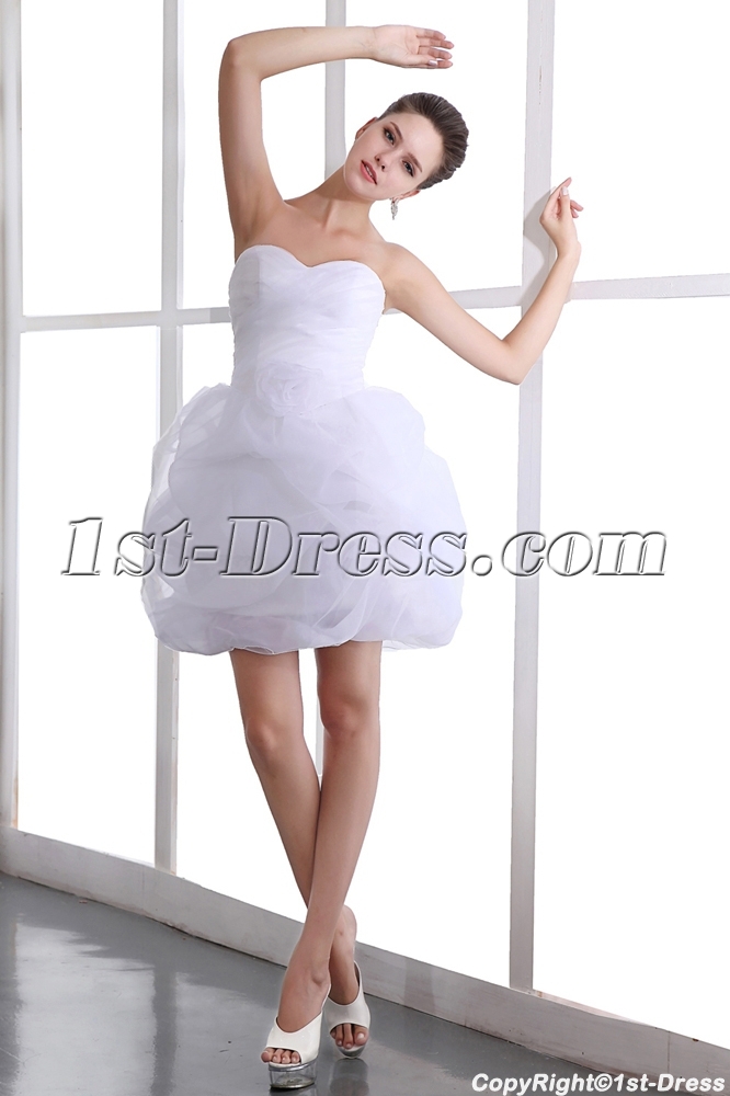 images/201401/big/Lovely-Sweetheart-Mini-Organza-Pick-up-Junior-Prom-Party-Dress-3984-b-1-1389008475.jpg