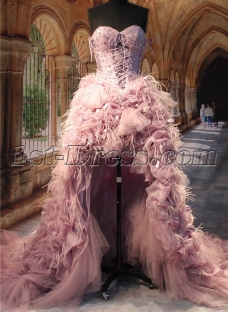 Luxury Ostrich Feather High Low Wedding Dresses