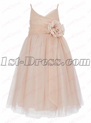 Lovely Nude Girls Party Dress