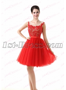 Super Sweet Red Homecoming Gown 2016